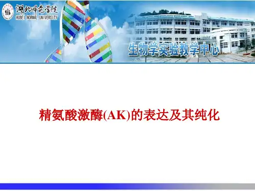 精氨酸激酶