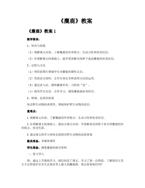 《麋鹿》教案