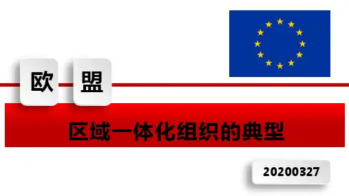 高中政治人教版选修三国家和国际组织常识专题5.5欧盟区域一体化组织的典型课件(共17张ppt)