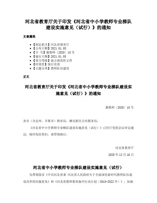河北省教育厅关于印发《河北省中小学教师专业梯队建设实施意见（试行）》的通知