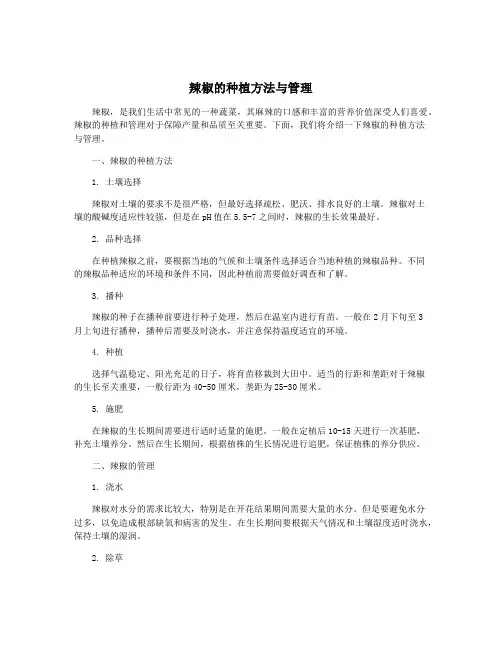 辣椒的种植方法与管理