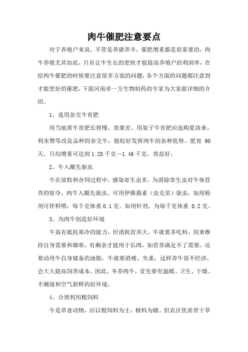 肉牛催肥注意要点