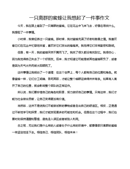 一只离群的蜜蜂让我想起了一件事作文