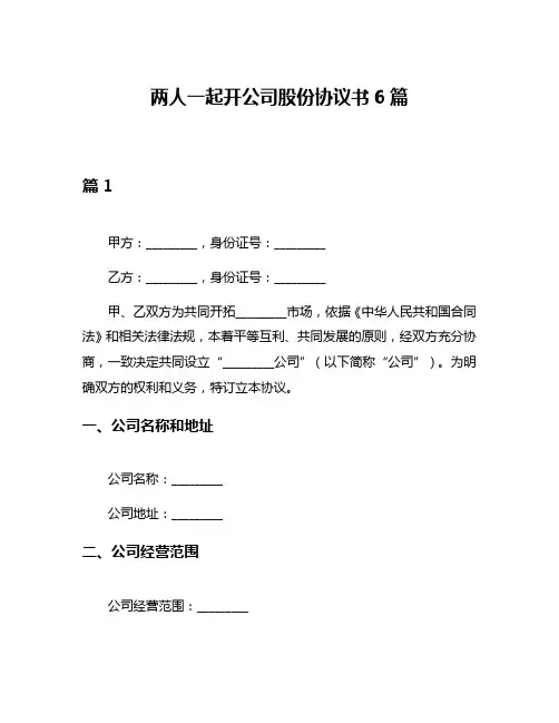 两人一起开公司股份协议书6篇