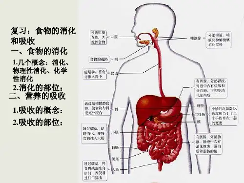 第九章三大营养物质代谢_PPT幻灯片
