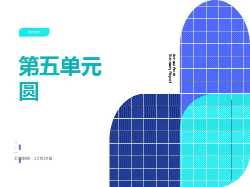 人教版六年级上册数学第五单元圆复习