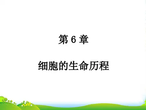 人教版生物必修1课件：第6章 第1节 第1课时 细胞周期和有丝分裂过程
