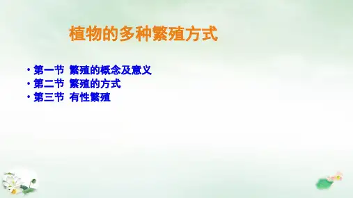 《植物的多种繁殖方式 》ppt完整版(共24页)