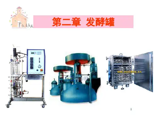 发酵罐的设计PPT演示课件