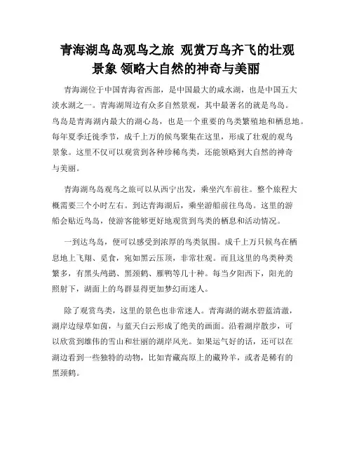  青海湖鸟岛观鸟之旅  观赏万鸟齐飞的壮观景象 领略大自然的神奇与美丽