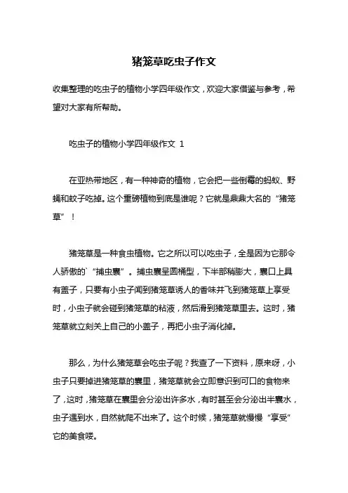 猪笼草吃虫子作文