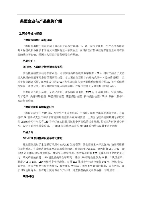 典型企业与产品案例介绍