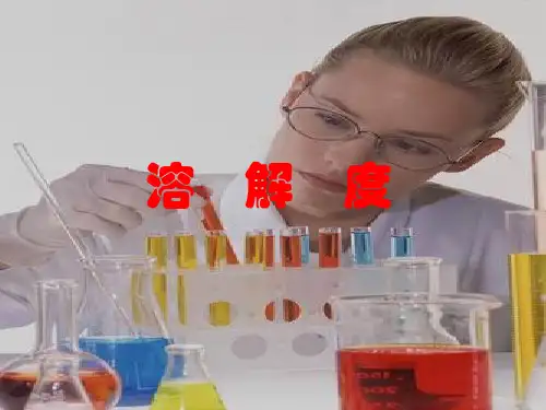 溶解度PPT课件 人教版(PPT文档)