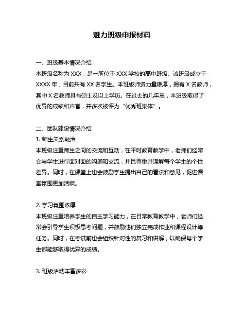 魅力班级申报材料