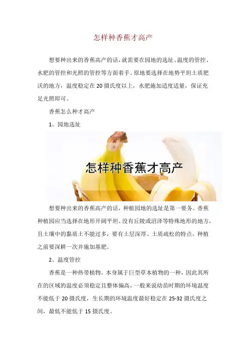 怎样种香蕉才高产