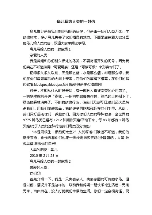 鸟儿写给人类的一封信