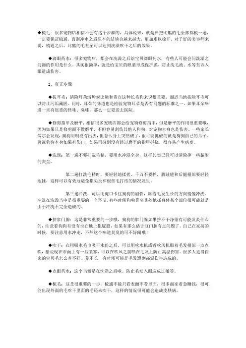 如何给狗狗洗澡