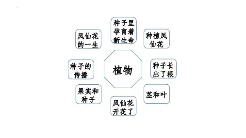 最新教科版四年级科学下册第一单元《植物的生长变化》复习讲解精品教学课件