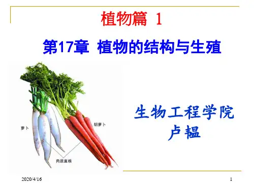 (完整版)植物的结构与生殖
