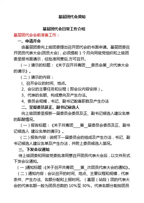 共青团团代会工作手册(权威版)
