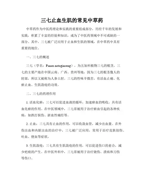 三七止血生肌的常见中草药