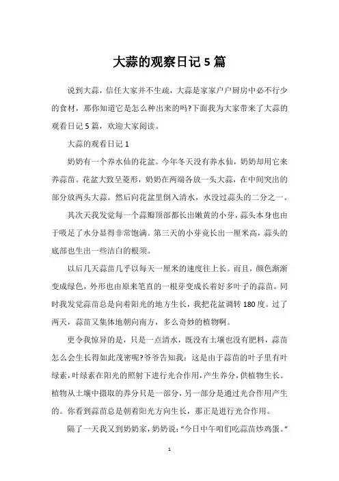 大蒜的观察日记5篇
