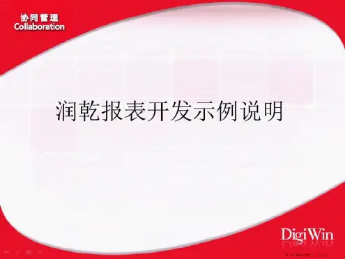 润乾报表开发示例说明