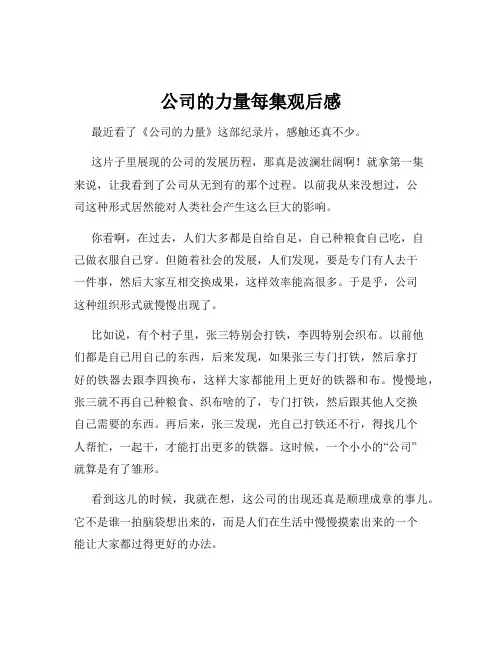 公司的力量每集观后感