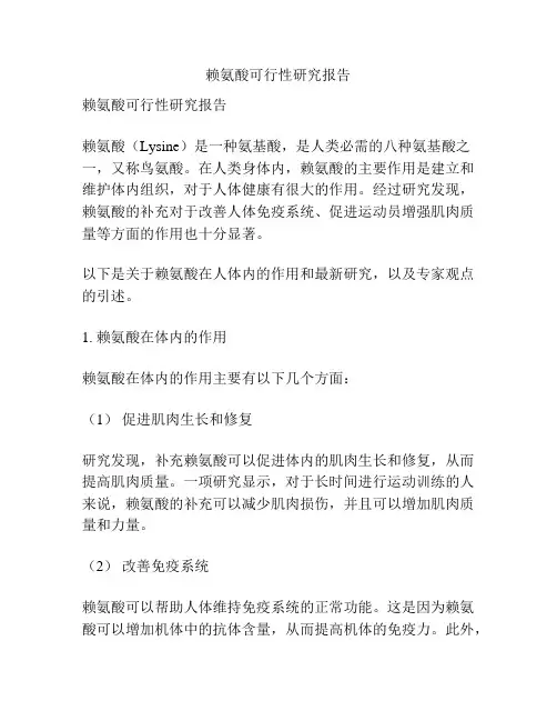 赖氨酸可行性研究报告