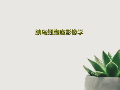 胰岛细胞瘤影像学29页PPT