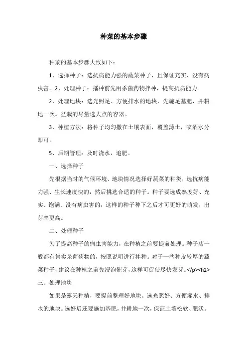 种菜的基本步骤