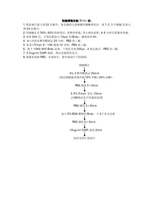 细胞增殖实验(Brdu法)