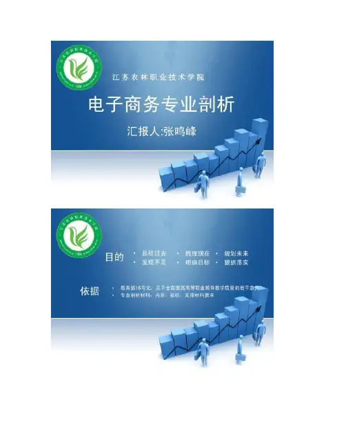 [图文]电子商务专业剖析报告-
