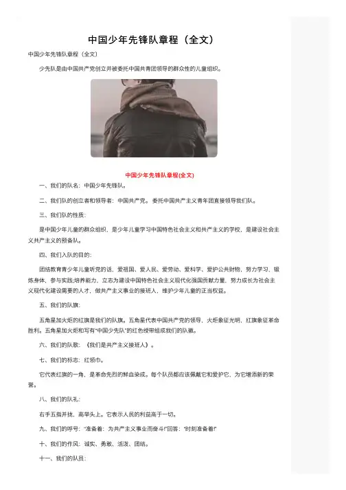 中国少年先锋队章程（全文）