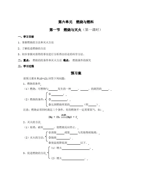 新编：第六单元  燃烧与燃料