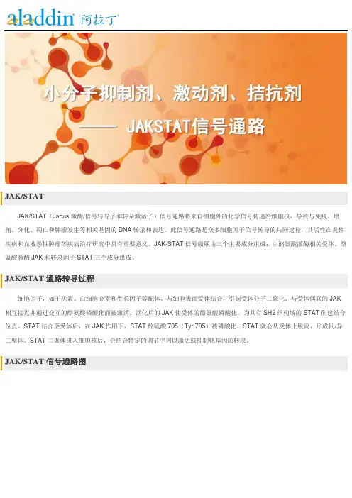 小分子抑制剂、激动剂、拮抗剂--JAKSTAT信号通路