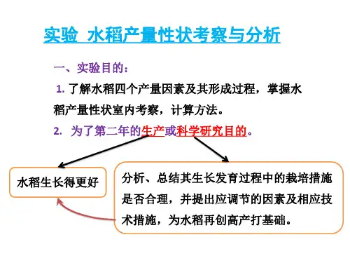 实验 水稻产量性状考察和分析