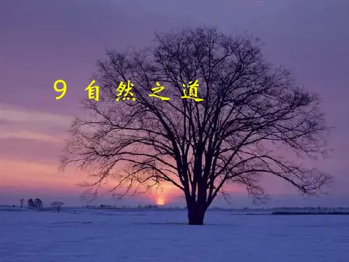 《自然之道》PPT课件