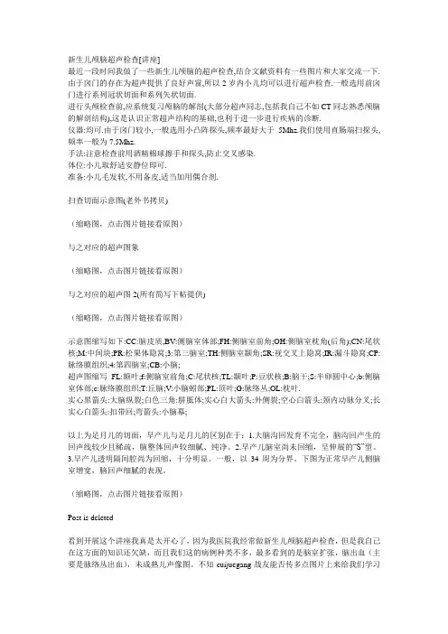 新生儿颅脑超声检查