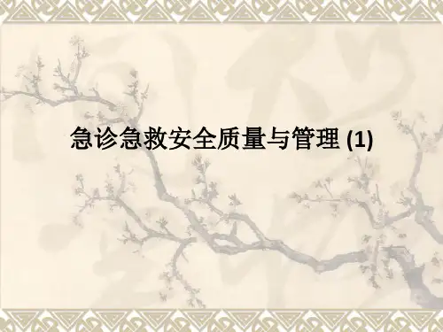 急诊急救安全质量与管理 (1)PPT课件