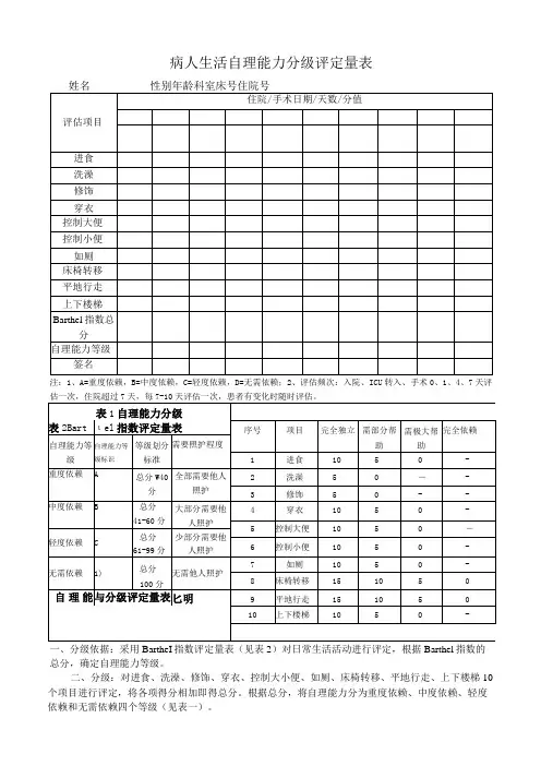 病人生活自理能力分级评定量表