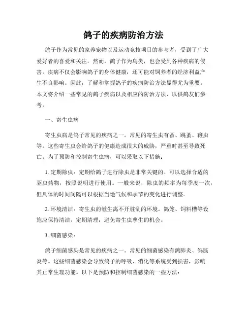 鸽子的疾病防治方法