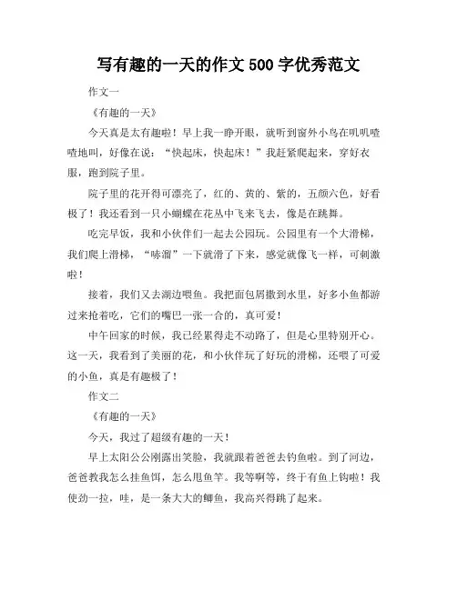 写有趣的一天的作文500字优秀范文