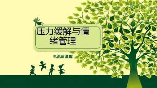 压力缓解及情绪管理