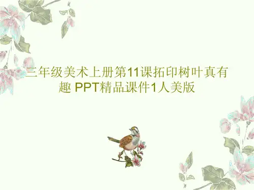 三年级美术上册第11课拓印树叶真有趣 PPT精品课件1人美版共21页PPT