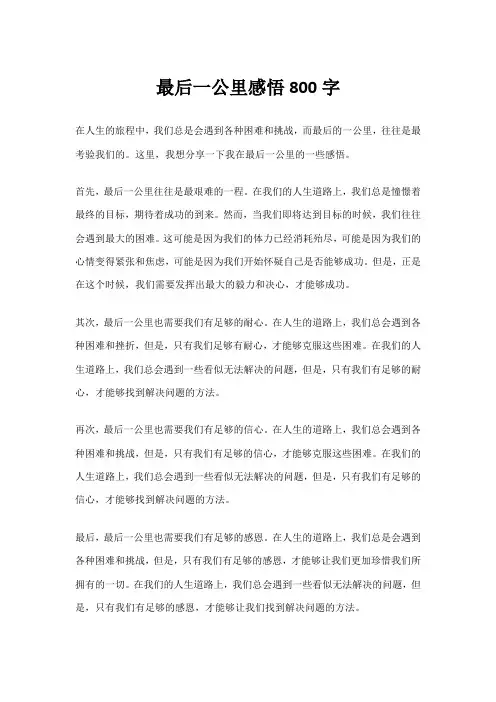 最后一公里感悟800字