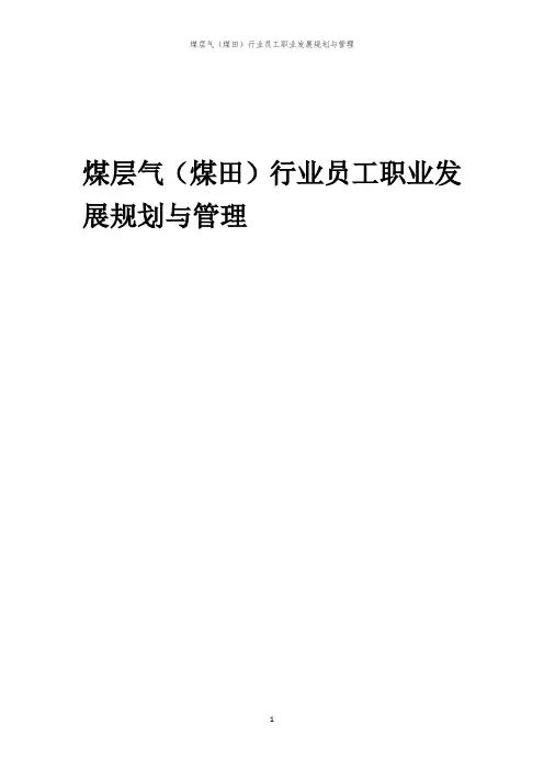 煤层气(煤田)行业员工职业发展规划与管理