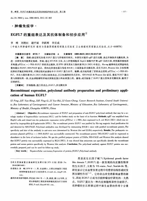 EGFL7的重组表达及其抗体制备和初步应用