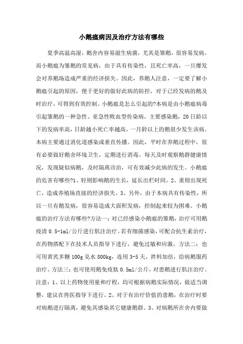 小鹅瘟病因及治疗方法有哪些