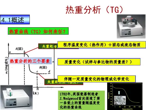 热重分析（TG）